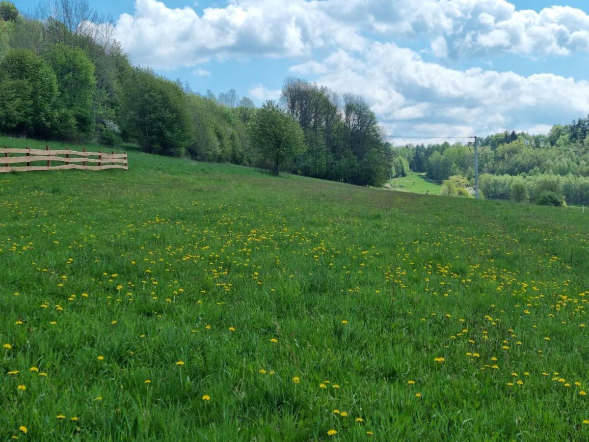 Okno Na Raj Domki Caloroczne Kudowa-Zdrój Extérieur photo